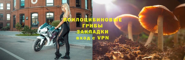 а пвп мука Богданович