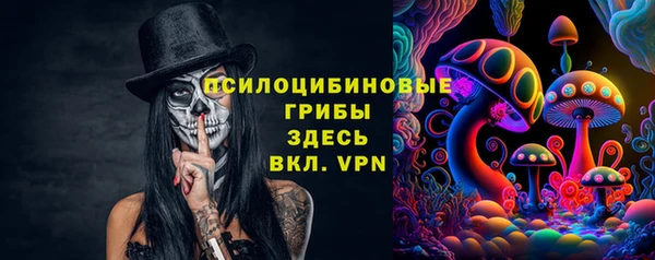 а пвп мука Богданович