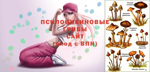 ALPHA PVP Беломорск